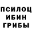 Галлюциногенные грибы Magic Shrooms Phoenix Promotion