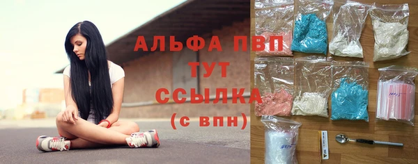 apvp Семилуки